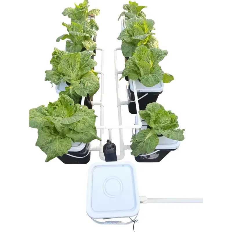 DWC Hydroponic Planting System - огляд і ціна Hydroponic Kit