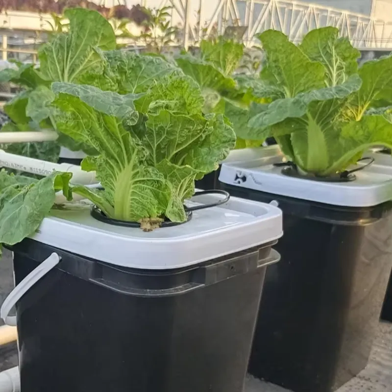 DWC Hydroponic Planting System - огляд і ціна Hydroponic Kit