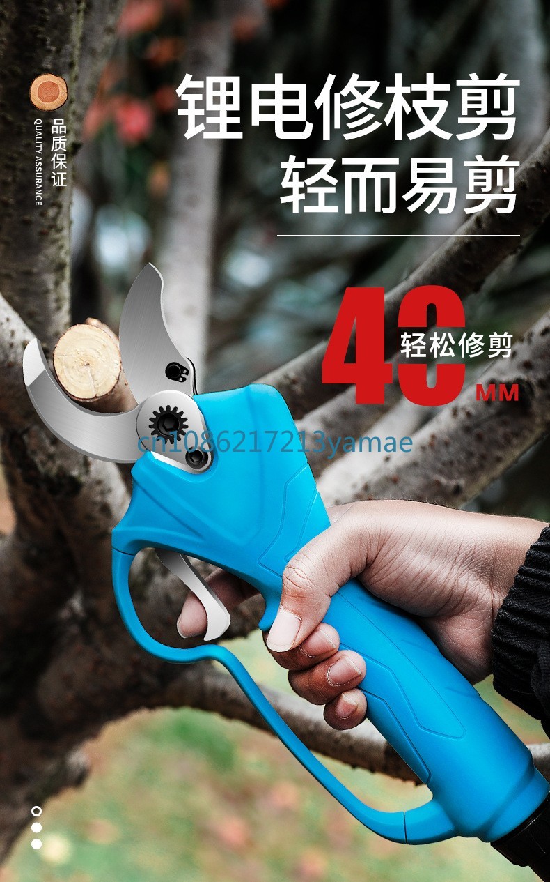 Lithium Battery Backpack Elect - огляд і ціна Pruning Shears