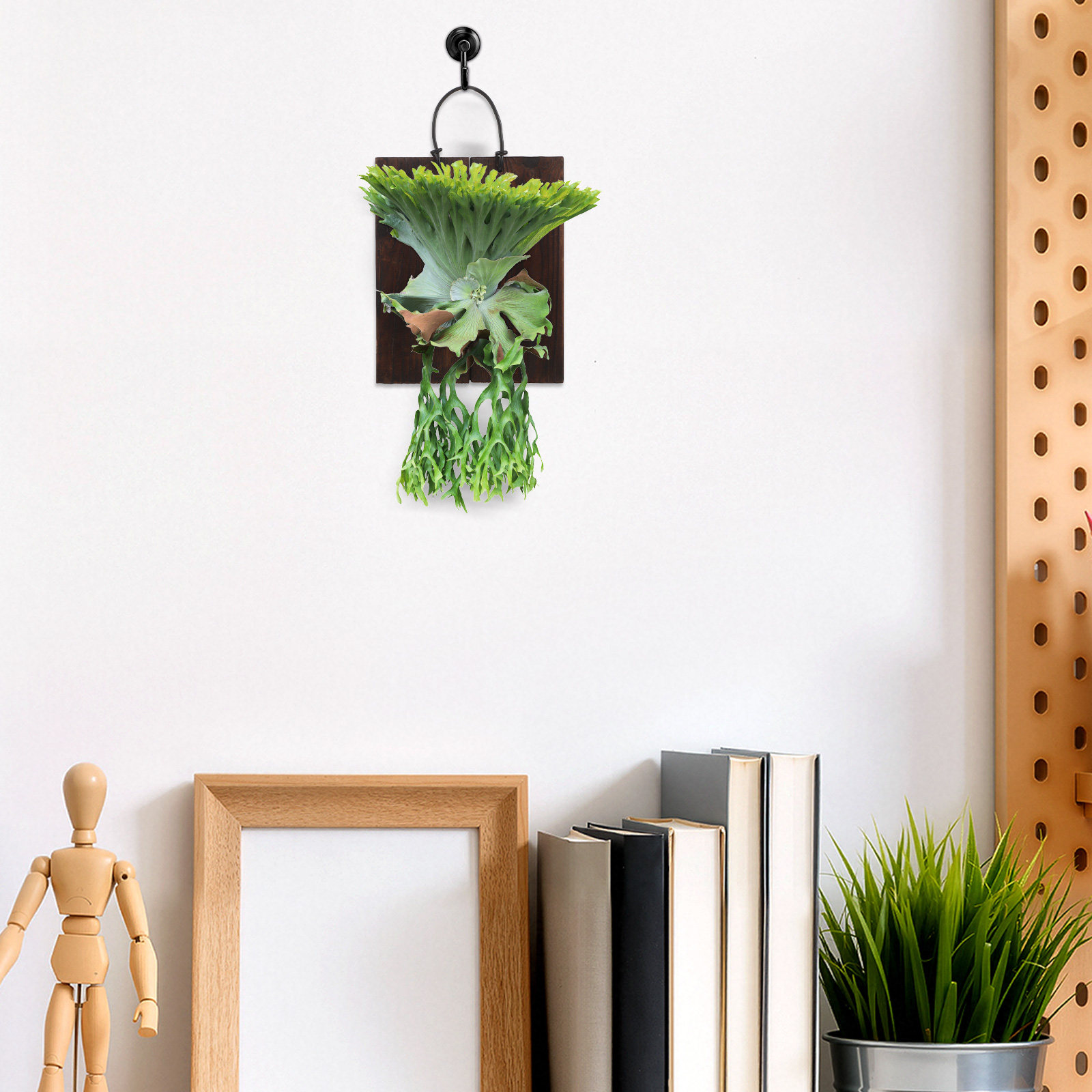 Staghorn Fern Mounting Board V - огляд і ціна Vertical Planter